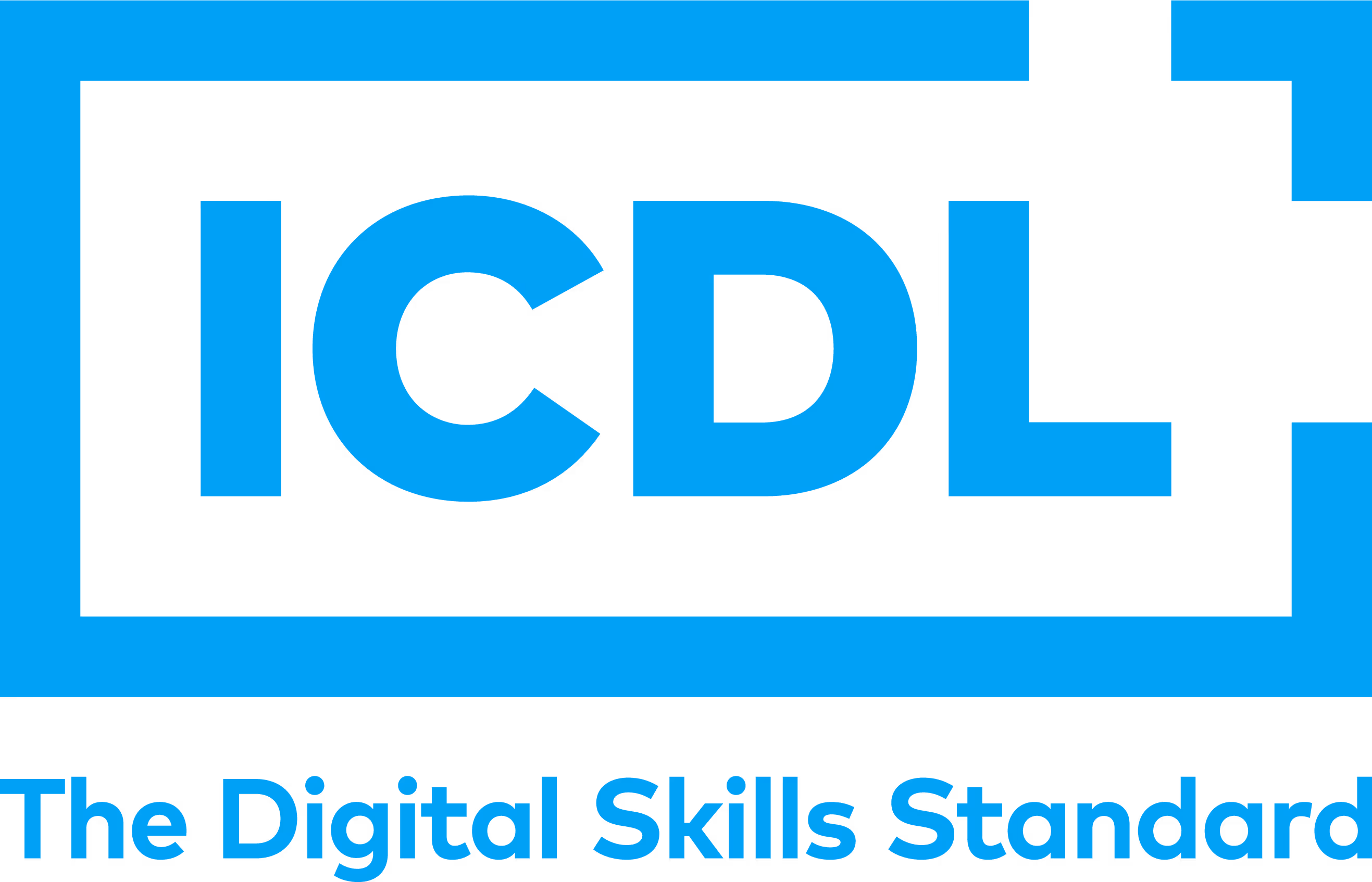 ICDL, The Digital Skills Standard